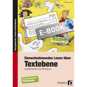 Sinnentnehmendes Lesen üben - Textebene