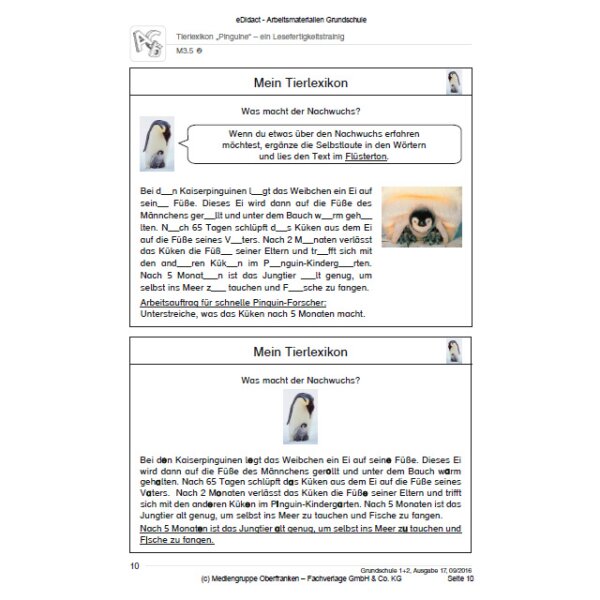 Ein Lesefertigkeitstrainig - Tierlexikon Pinguine (2. Klasse)