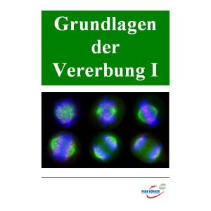 Grundlagen der Vererbung: DNS, Zellkern, Zellzyklus,...