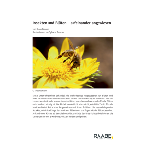 Insekten und Blüten - aufeinander angewiesen