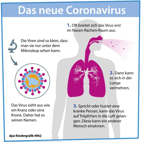 Coronavirus - Kindergrafik