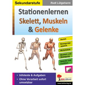 Skelette, Muskeln und Gelenke  - Stationenlernen