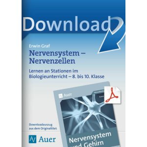 Nervensystem - Nervenzellen