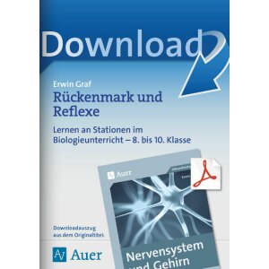 Rückenmark und Reflexe