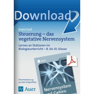 Steuerung - das vegetative Nervensystem