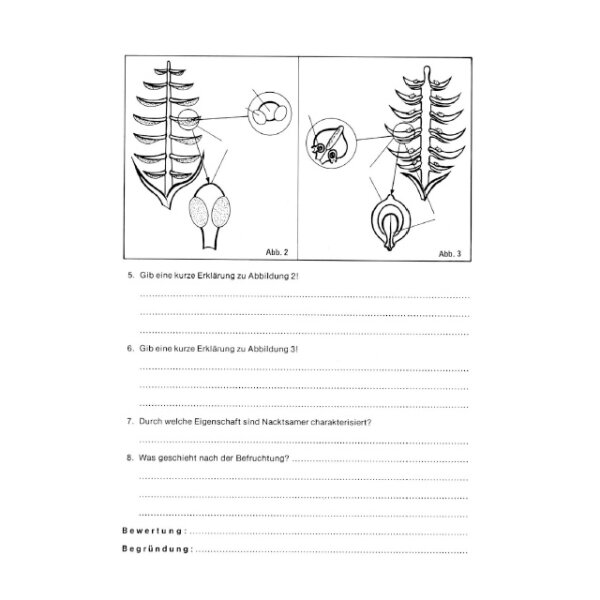 Fortpflanzung bei Pflanzen - Arbeits- und Übungsblätter