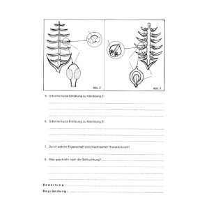 Fortpflanzung bei Pflanzen - Arbeits- und...