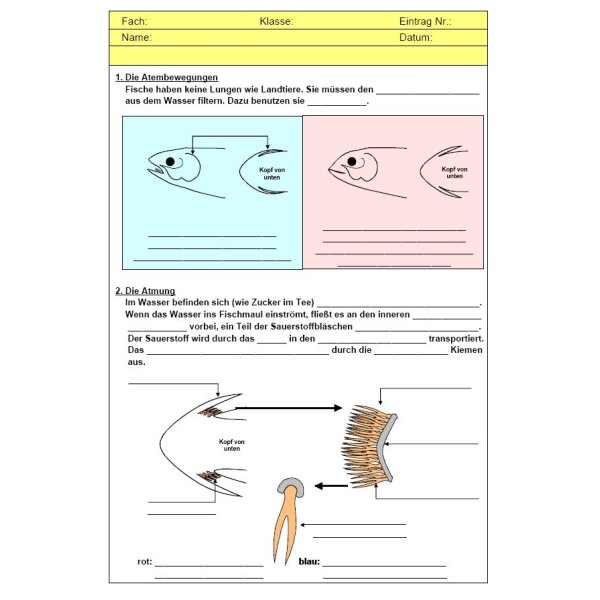 Arbeitsblätter - Fische (Arten, Atmung, Körperbau)