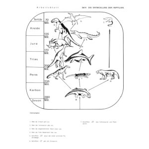 Entwicklung von Pflanzen und Tieren - Arbeitsblätter