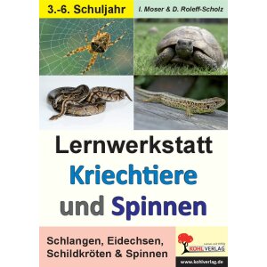 Kriechtiere und Spinnen - Lernwerkstatt