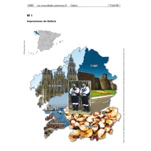 Galicia, el gallego y los gallegos