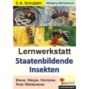 Staatenbildende Insekten - Lernwerkstatt