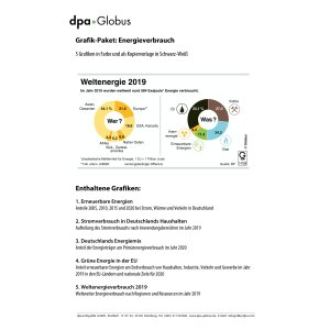 Energieverbrauch in Deutschland 2019/2020 - (Grafik-Paket)