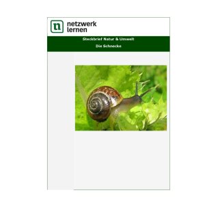 Steckbrief Natur und Umwelt: Die Schnecke