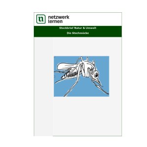 Steckbrief Natur und Umwelt: Die Stechmücke
