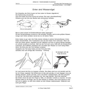 Alle meine Entchen (3.-4. Klasse)