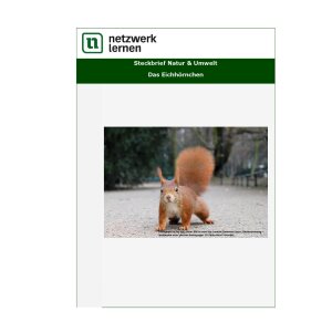 Steckbrief Natur und Umwelt: Das Eichhörnchen