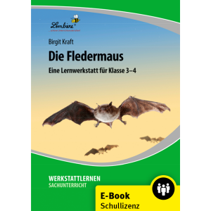 Die Fledermaus - Klassen 3/4 (Schullizenz)