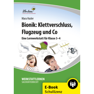 Bionik: Klettverschluss, Flugzeug und Co. (Schullizenz)