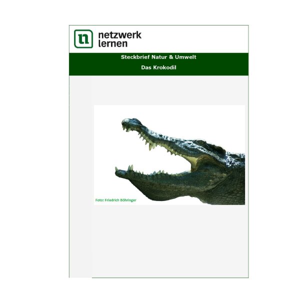 Steckbrief Natur und Umwelt: Das Krokodil