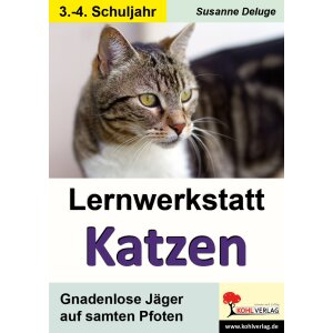 Lernwerkstatt Katzen