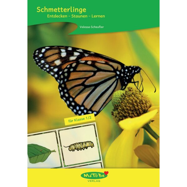 Schmetterlinge: Entdecken - Staunen - Lernen