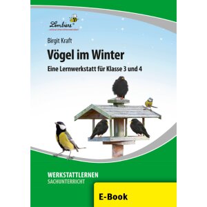 Vögel im Winter (3. und 4. Klasse)