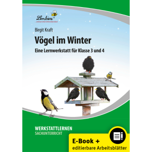 Vögel im Winter 3./4. Klasse (PDF /WORD)