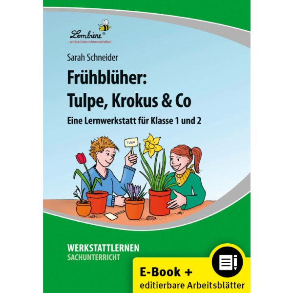 Frühblüher: Tulpe, Krokus & Co (1. und 2. Klasse)