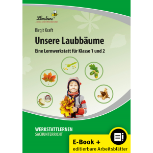 Unsere Laubbäume (1. und 2. Klasse)