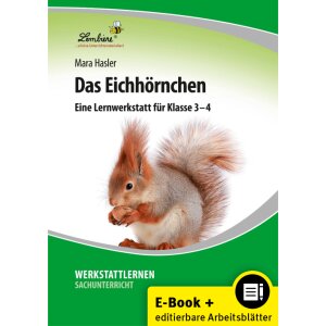 Das Eichhörnchen - Lernwerkstatt Klassen 3/4 (PDF/WORD)
