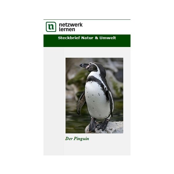 Steckbrief Natur und Umwelt: Der Pinguin