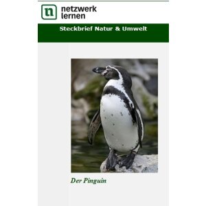 Steckbrief Natur und Umwelt: Der Pinguin