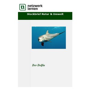 Steckbrief Natur und Umwelt: Der Delfin