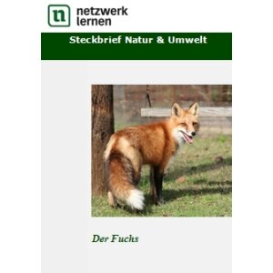 Steckbrief Natur und Umwelt: Der Fuchs