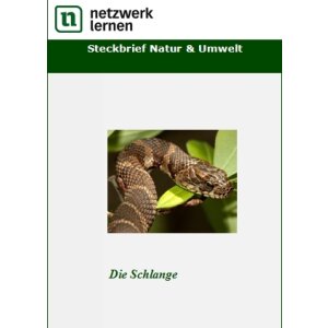 Steckbrief Natur und Umwelt: Die Schlange