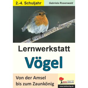Lernwerkstatt Vögel - Von der Amsel bis zum...