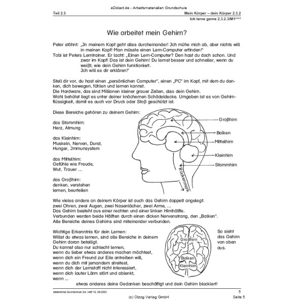 Ich lerne gerne, denn ich weiß, wie mein Gehirn funktioniert (3.-4. Klasse)