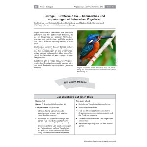 Kennzeichen und Anpassungen einheimischer Vogelarten -...