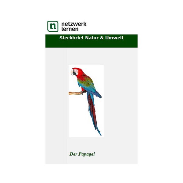 Steckbrief Natur und  Umwelt: Der Papagei