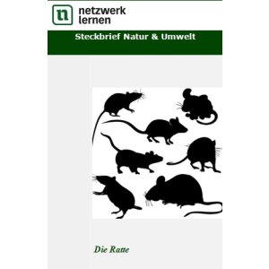 Steckbrief Natur und Umwelt: Die Ratte