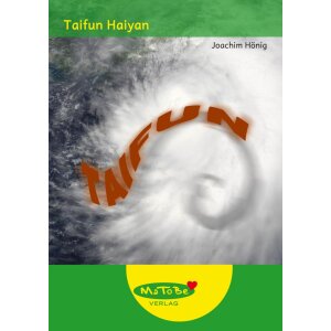 Taifun Haiyan