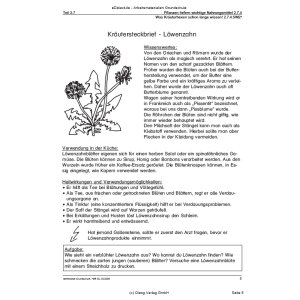 Was Kräuterhexen schon lange wissen! (1.-2. Klasse)