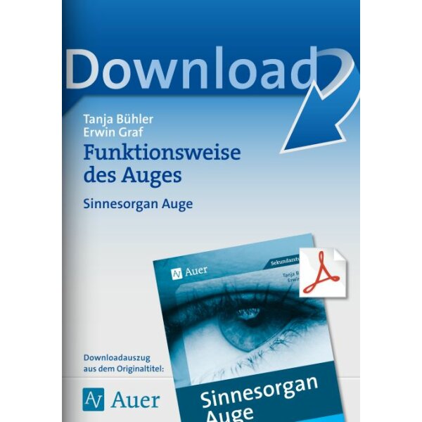 Funktionsweise des Auges - Sinnesorgan Auge