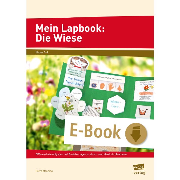 Mein Lapbook: Die Wiese