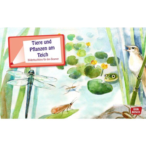 Tiere und Pflanzen am Teich - Bilderbuchkino
