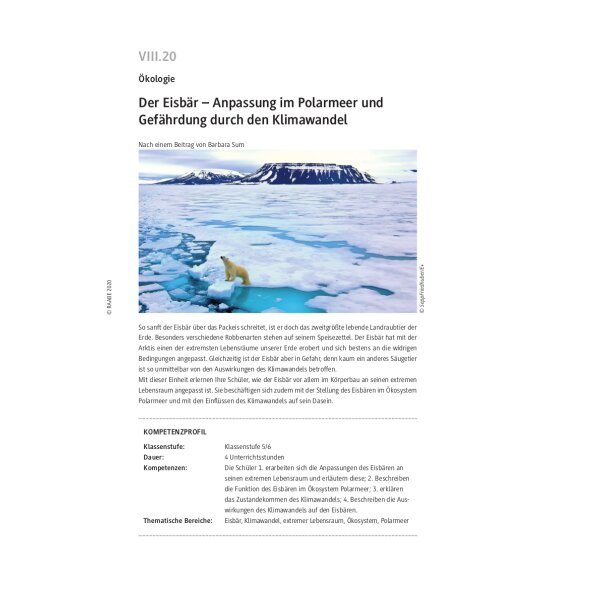 Der Eisbär - Anpassung im Polarmeer und Gefährdung durch den Klimawandel