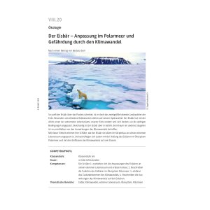Der Eisbär - Anpassung im Polarmeer und...