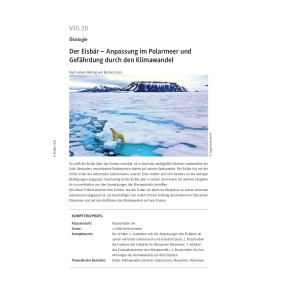 Der Eisbär - Anpassung im Polarmeer und...
