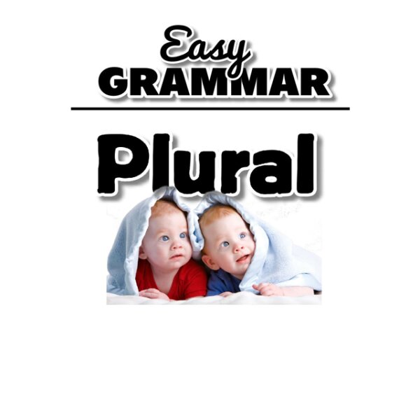 Easy Grammar - Plural
